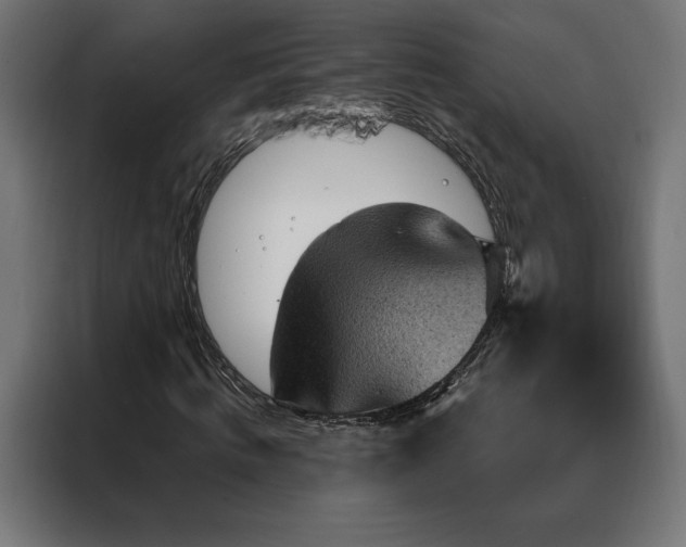 X0000088160820200705221559
