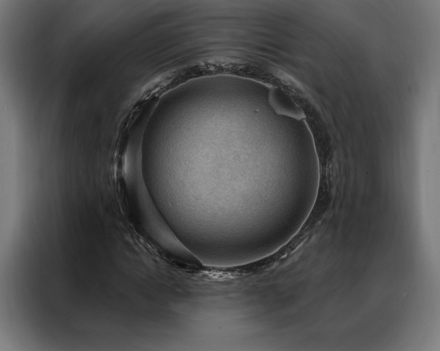 X0000088160822200705221559