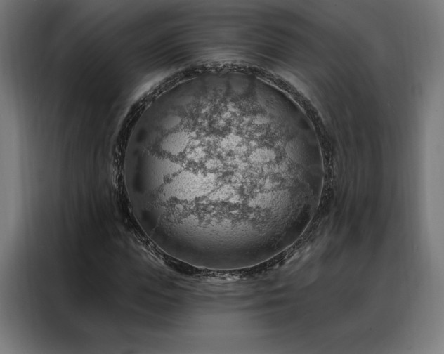 X0000088160823200705221559