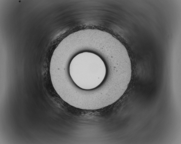 X0000088160824200705221559