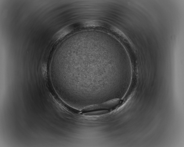 X0000088160825200705221559