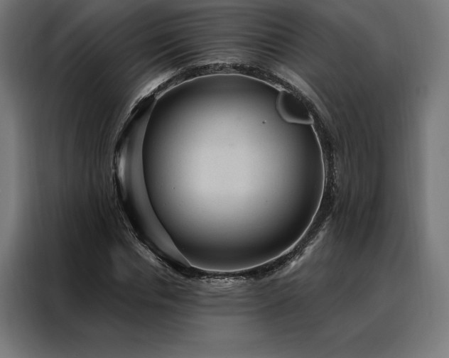 X0000088160826200705221559