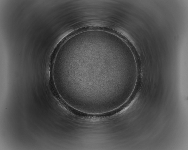 X0000088160829200705221559