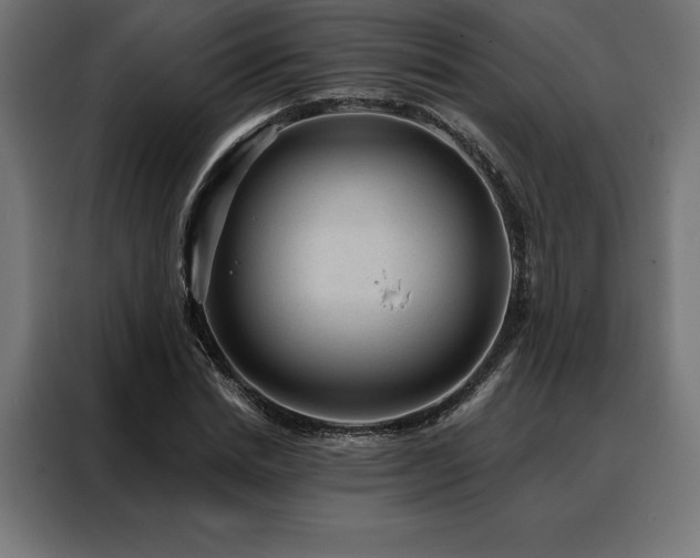 X0000088160830200705221559