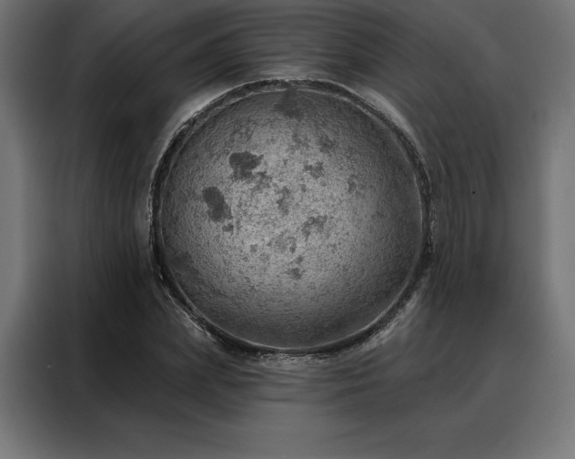 X0000088160831200705221559