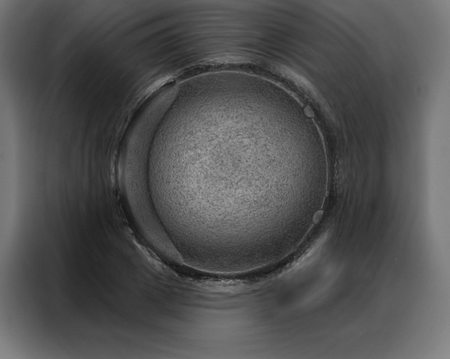 X0000088160833200705221559