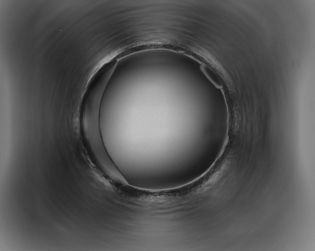 X0000088160834200705221559