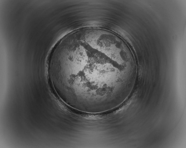 X0000088160835200705221559