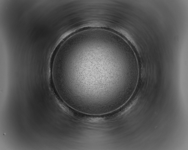 X0000088160837200705221559