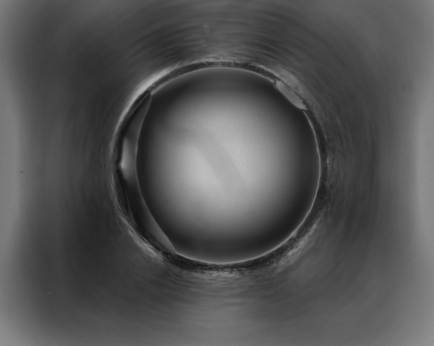 X0000088160838200705221559