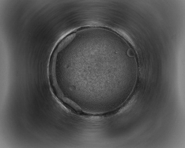 X0000088160839200705221559
