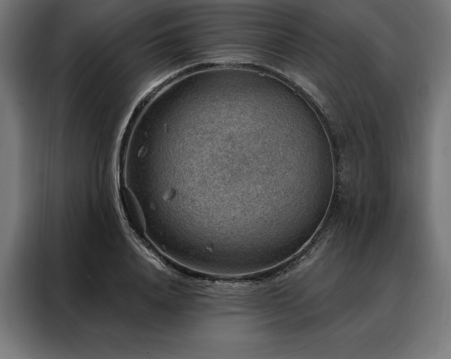 X0000088160840200705221559