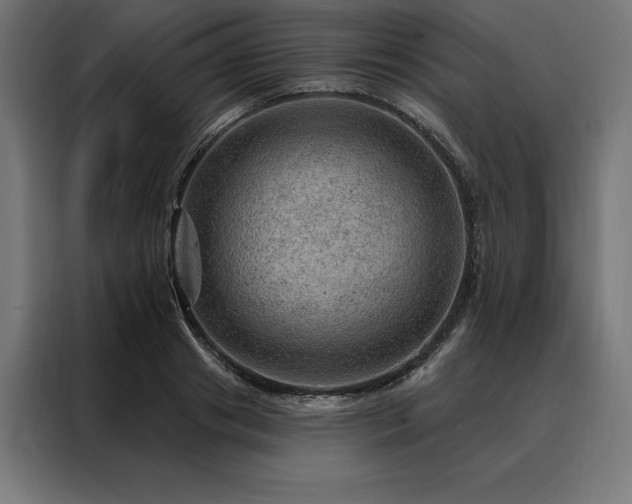 X0000088160841200705221559