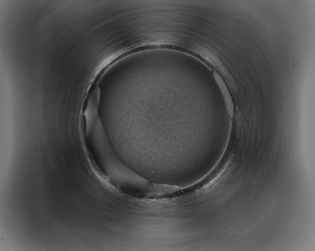 X0000088160842200705221559