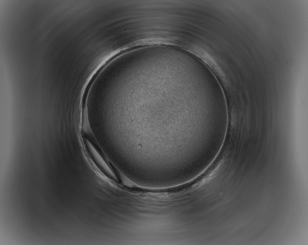 X0000088160844200705221559