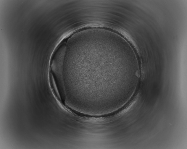 X0000088160845200705221559