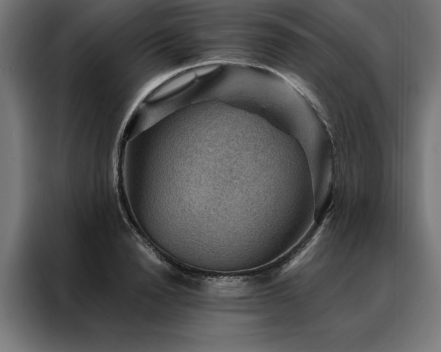 X0000088160846200705221559