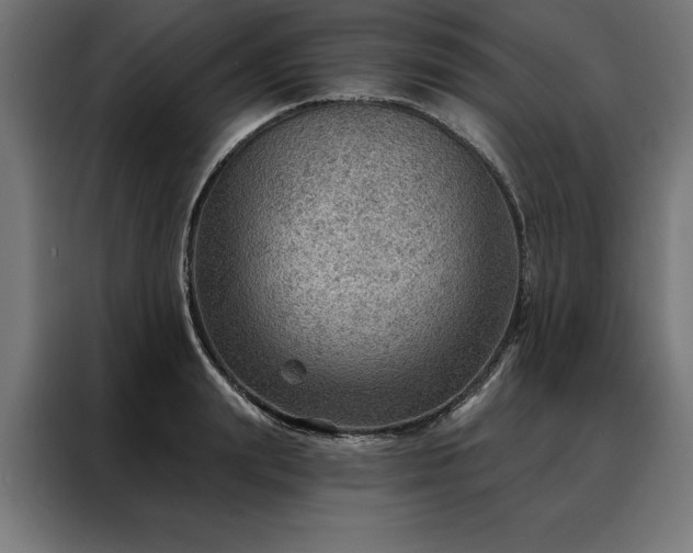 X0000088160847200705221559
