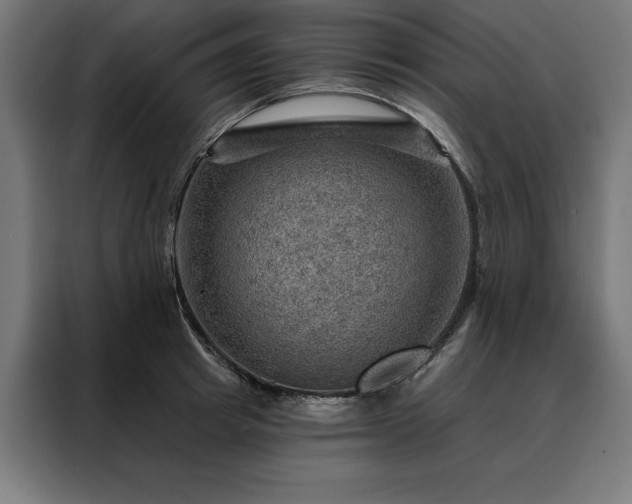 X0000088160849200705221559