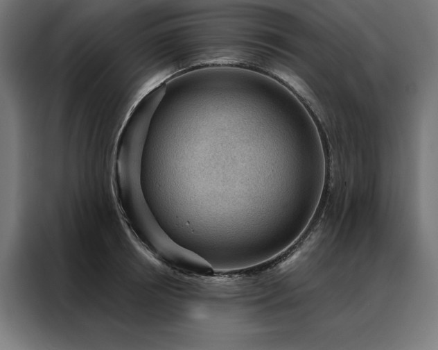 X0000088160850200705221559