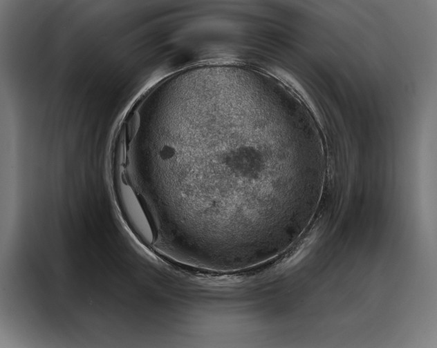 X0000088160851200705221559