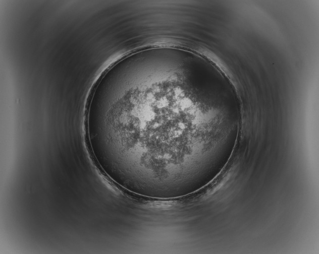 X0000088160853200705221559