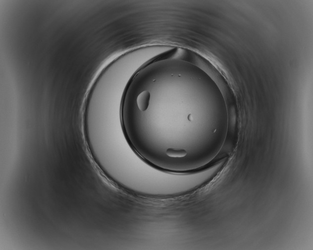 X0000088160854200705221559