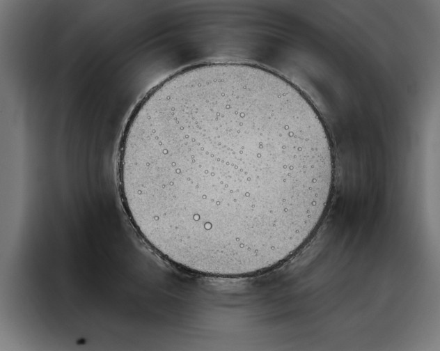 X0000088160856200705221559