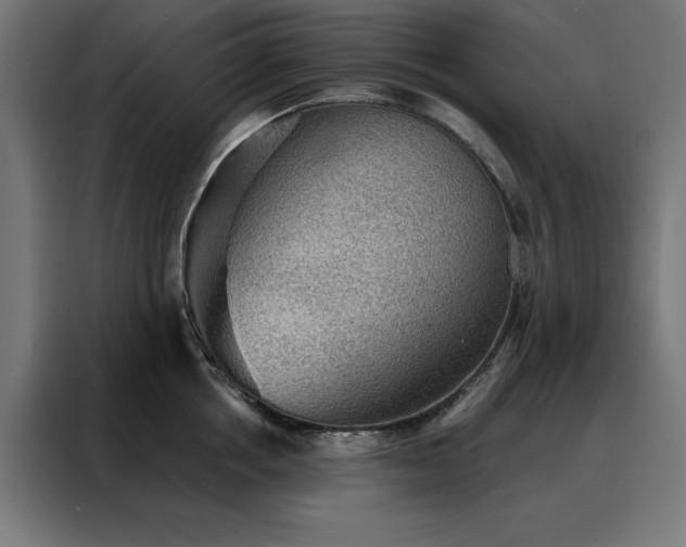 X0000088160858200705221559