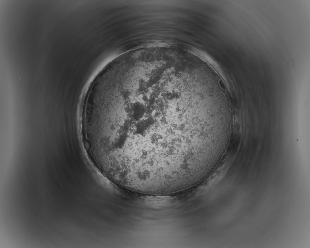 X0000088160859200705221559