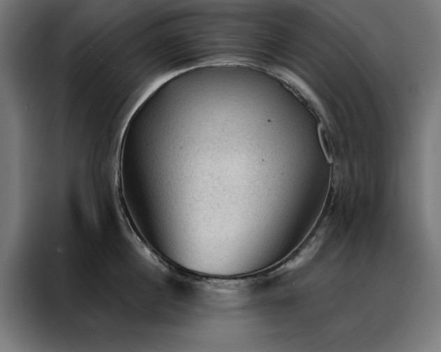 X0000088160860200705221559
