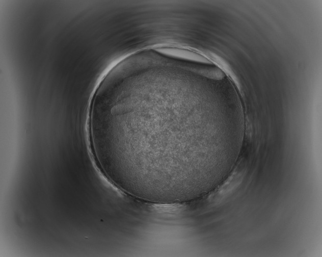 X0000088160863200705221559