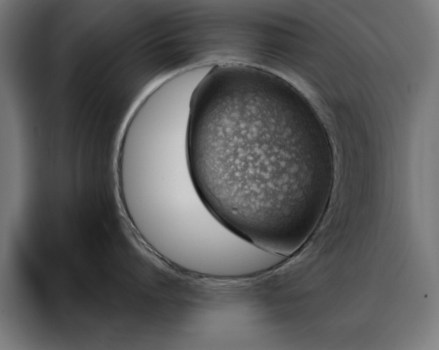 X0000088160864200705221559
