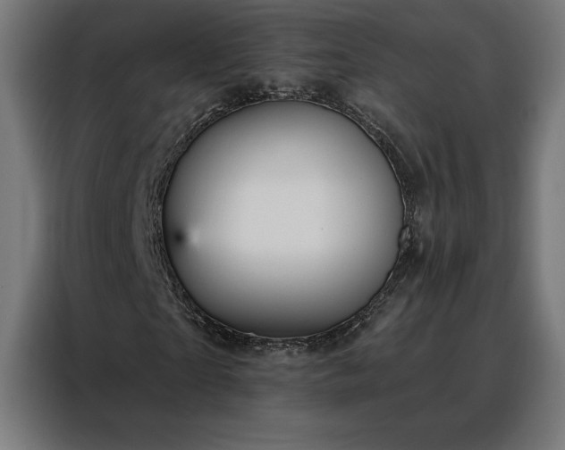 X0000088160865200705221559