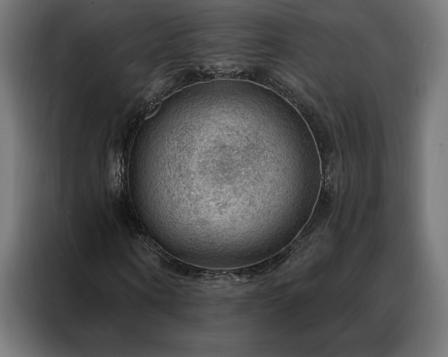 X0000088160866200705221559