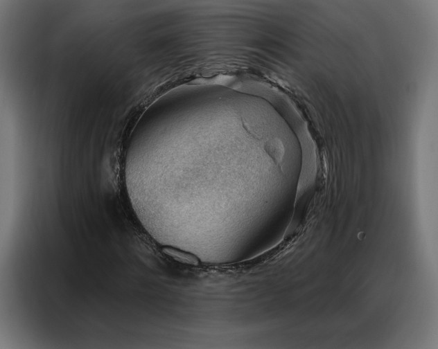 X0000088160868200705221559