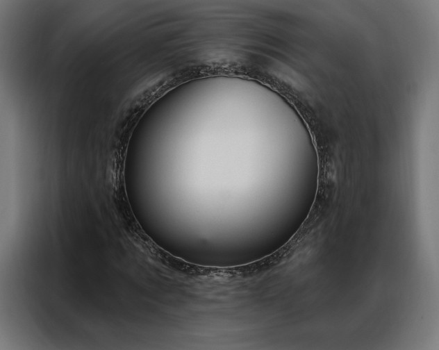 X0000088160869200705221559