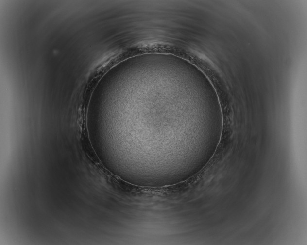 X0000088160870200705221559