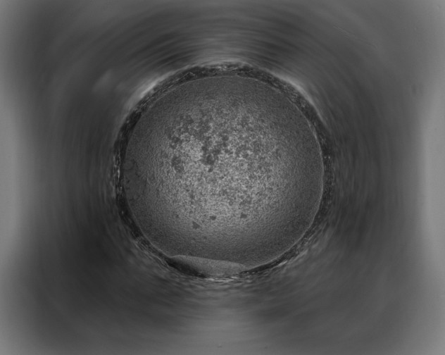 X0000088160871200705221559
