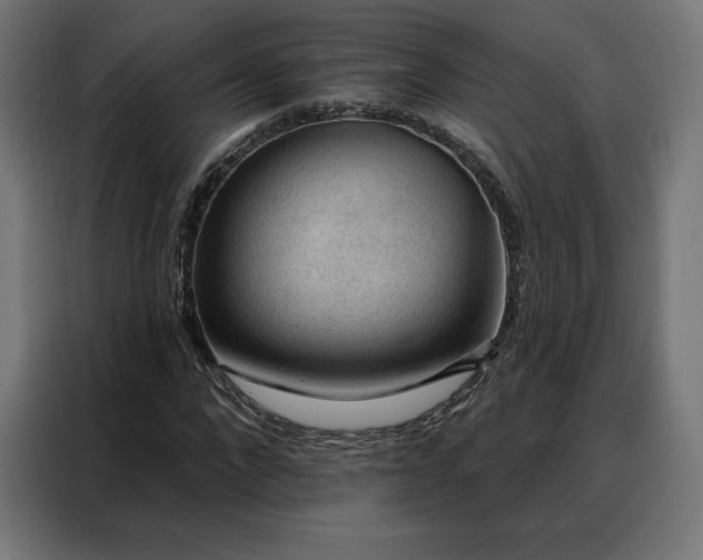 X0000088160872200705221559
