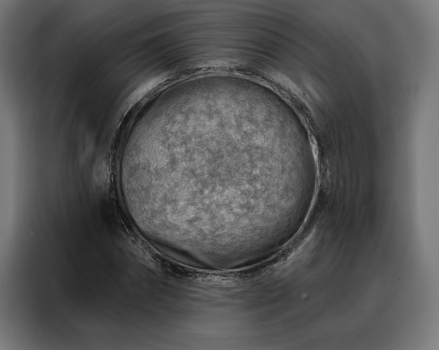 X0000088160874200705221559