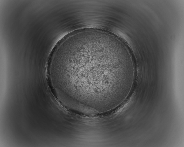 X0000088160875200705221559
