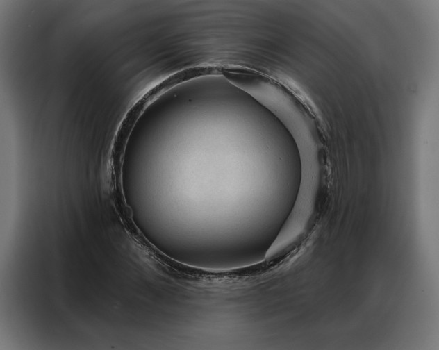X0000088160876200705221558