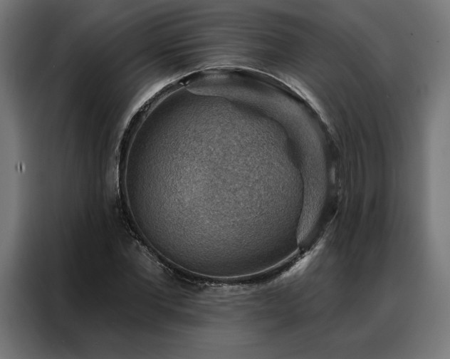 X0000088160877200705221558