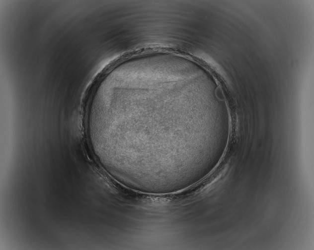 X0000088160878200705221558