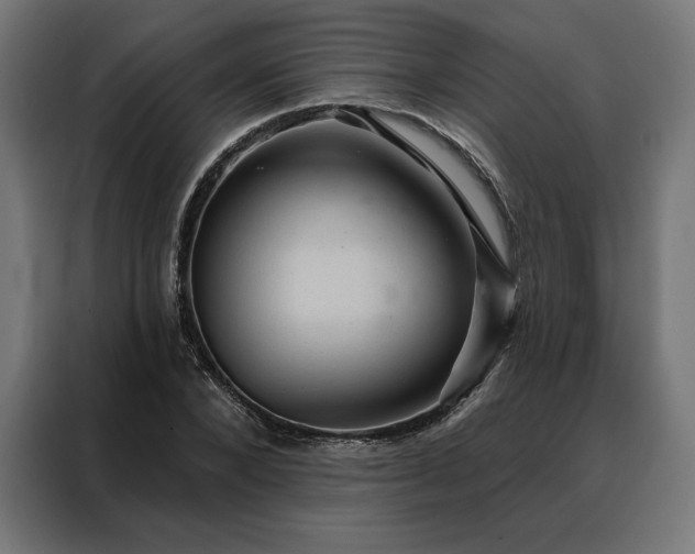 X0000088160880200705221558