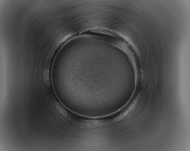 X0000088160881200705221558