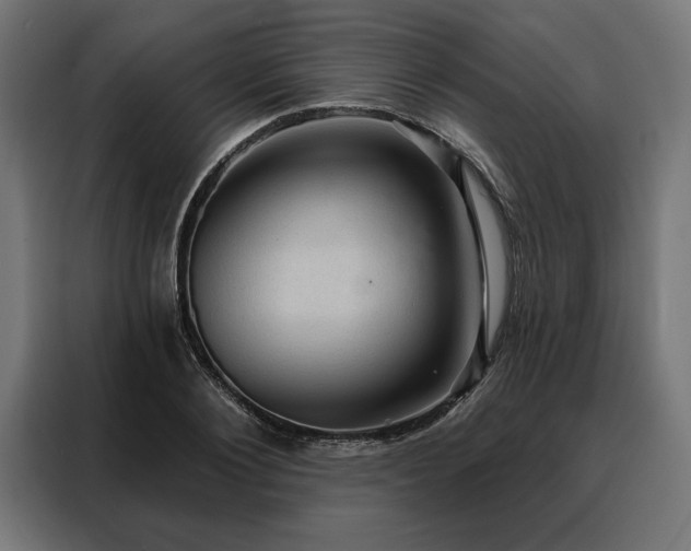 X0000088160884200705221558