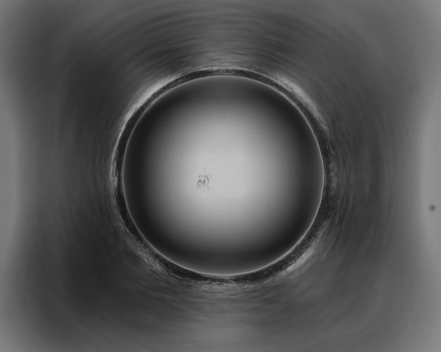 X0000088160885200705221558