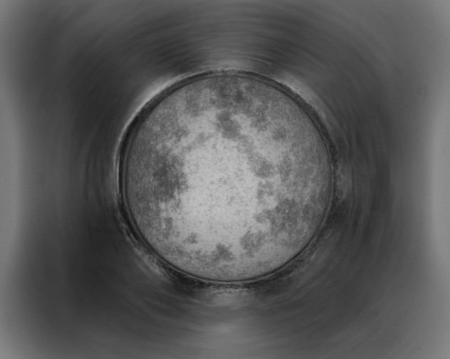 X0000088160886200705221558